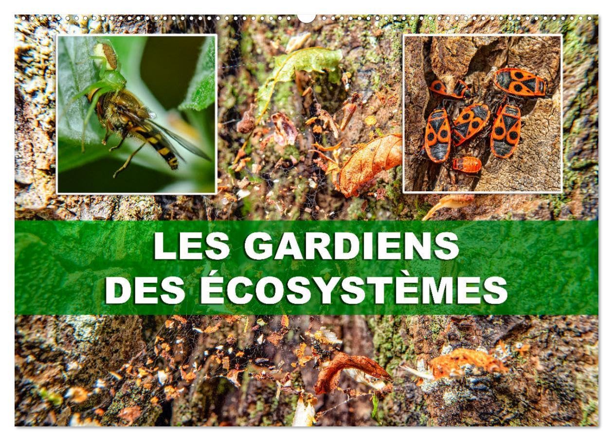 Les gardiens des écosystèmes (Calendrier mural 2026 DIN A2 vertical), CALVENDO calendrier mensuel: Rôle crucial des insectes régulateurs dans le maintien de l'équilibre écologique.