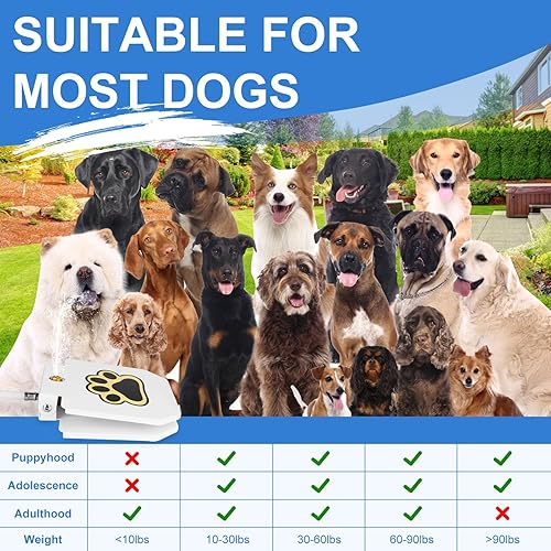 Miniatura 7 de Fuente de agua para perros, dispensador de mascotas activadas con patas al aire libre, rociador de agua para perros con manguera de 39.4 pulgadas