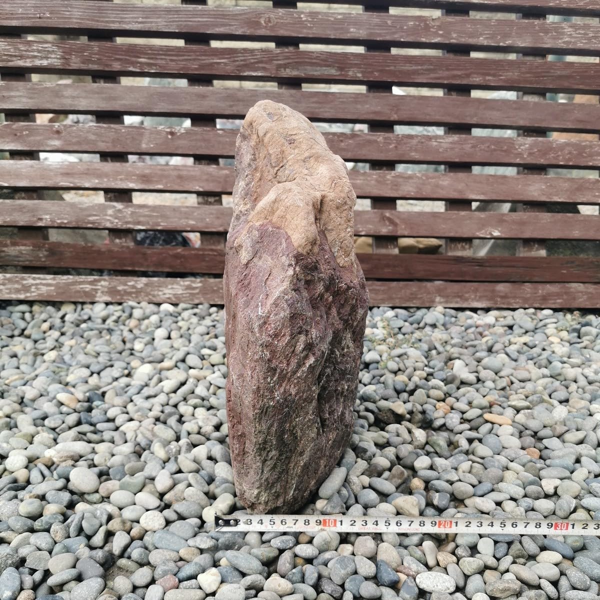 Amazon.co.jp: 三重産赤石18.8キロ庭石鑑賞石石盆石水石灯籠庭坪