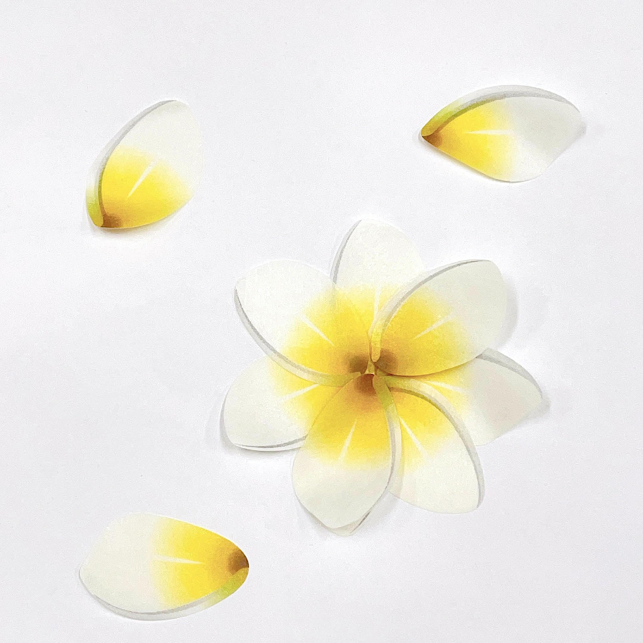 【8093】海外　特価マステ　3/5/巻売り　ホログラムマスキングテープ　お花系 8093】海外特価マステ3/5/巻売りホログラムマスキングテープお花系