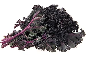 1 Bunch of Organically-Grown Red Kale Greens