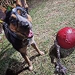 Review Image by Iyeet Paste Iyeet Paste