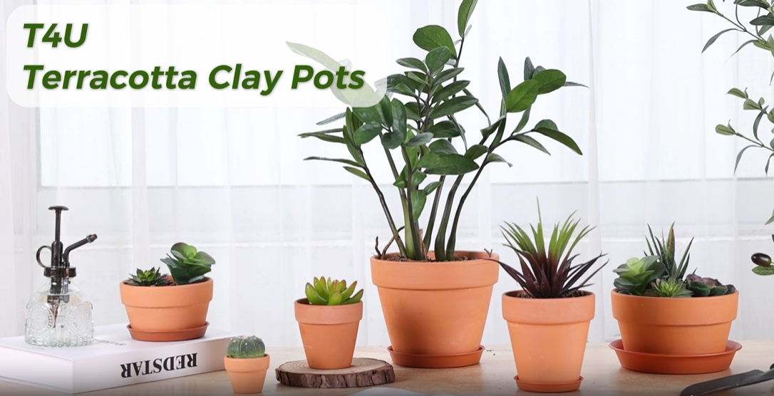 Amazon.com: T4U Mini Terracotta Pots (36pcs): 2 Inch Small Clay