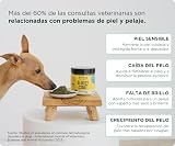 Ver la foto 5
