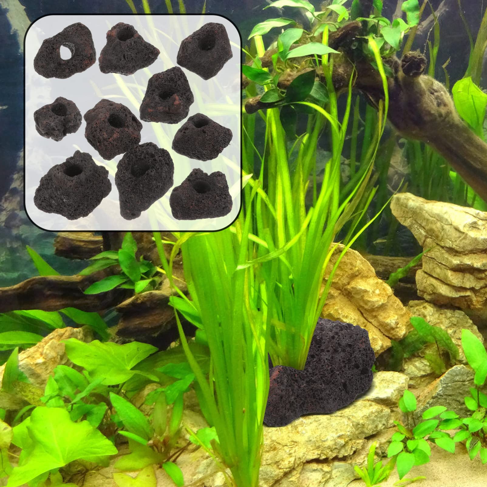 SUPVOX 10piezas Adornos Rocas Volcánicas Anillos Fijación Peceras Decoración Acuario