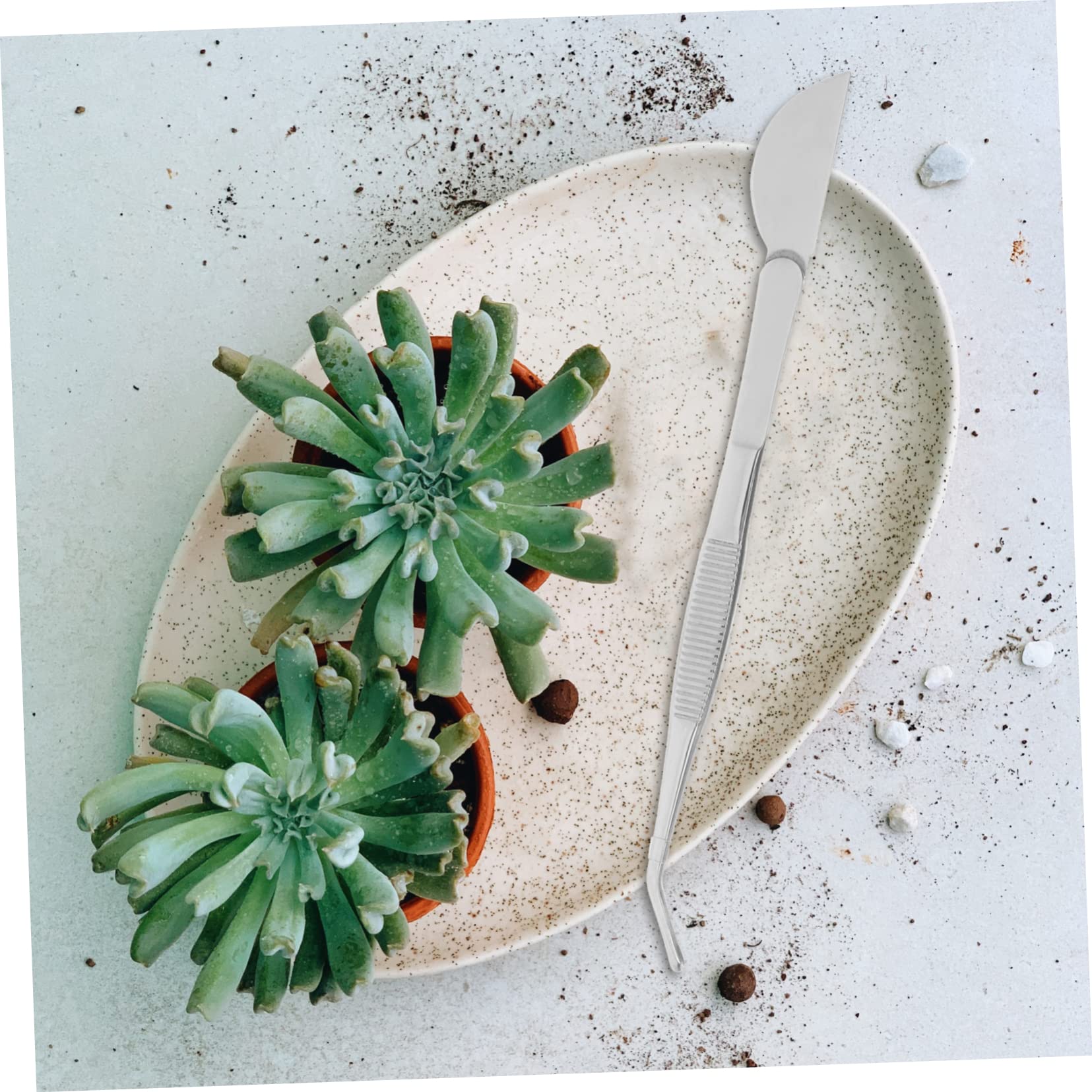 FUNOMOCYA Gardening Bonsai Set Rake for Bonsai Planting Supplies