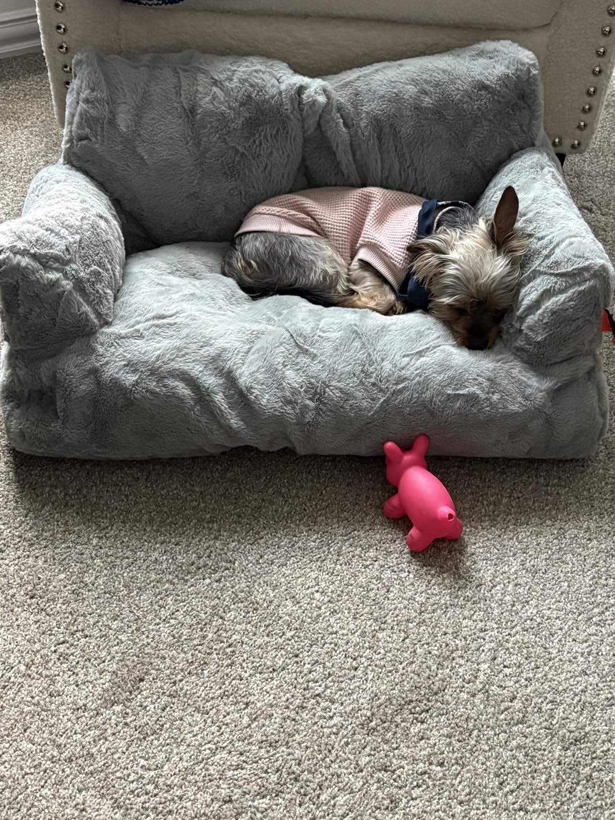 MEWOOFUN Cat Bed for Indoor Cats, Washable Dog Beds for Small Dogs & Cats with Removable Cover, Fluffy Cat Couch with Non-Slip Bottom (Grey, 26.0" L X 19.0" W X 13.0" Th) photo review