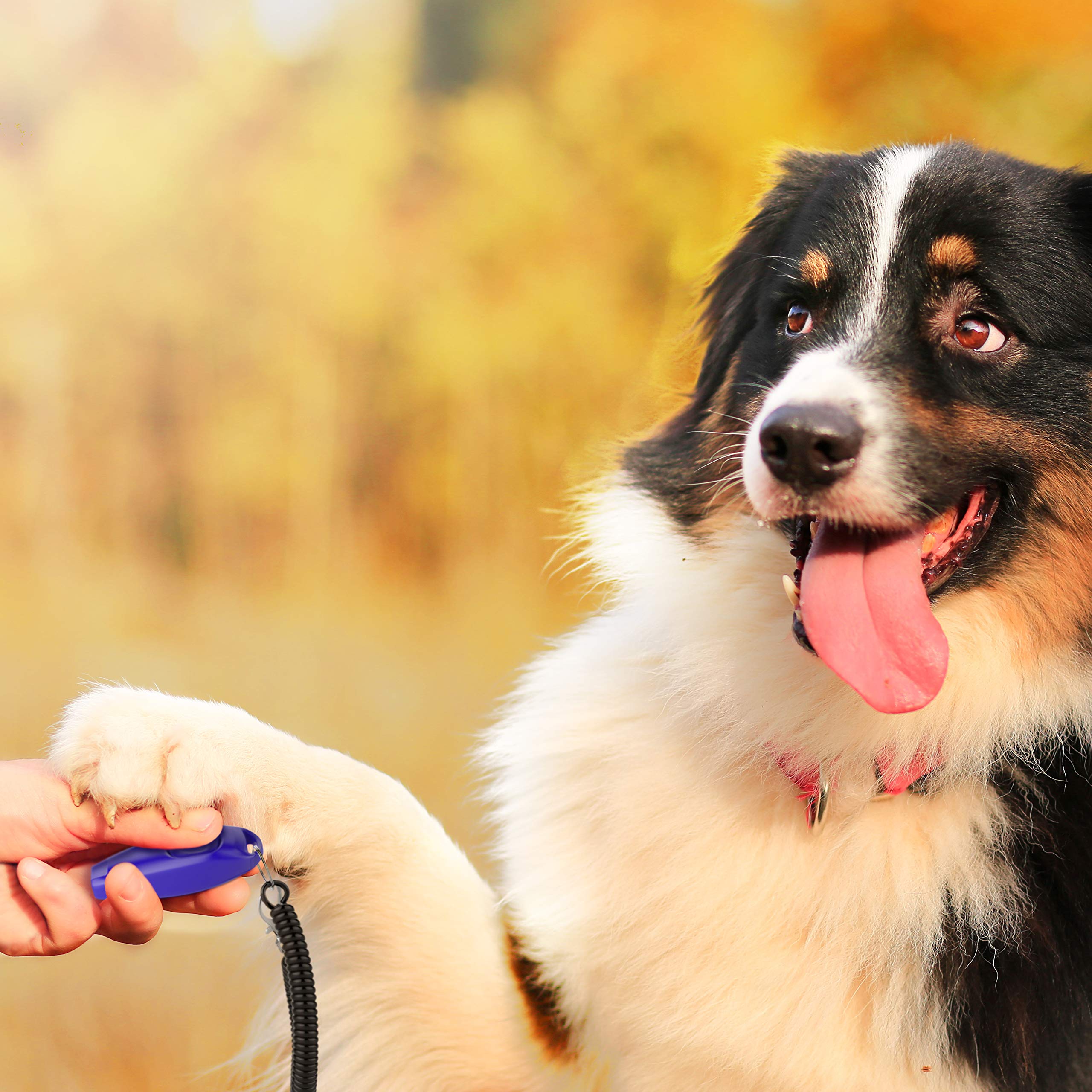 TruePets® - Clicker per cani 2 in 1, con fischietto per cani, ideale per l'educazione del cane, clicker Doog - clicker Doog - clicker gatto - clicker training gatto, fischietto per gatto/cani (blu)