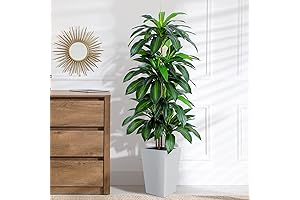 Lush Indoor Greenery: Artificial Dracaena Tree with Elegant Planter