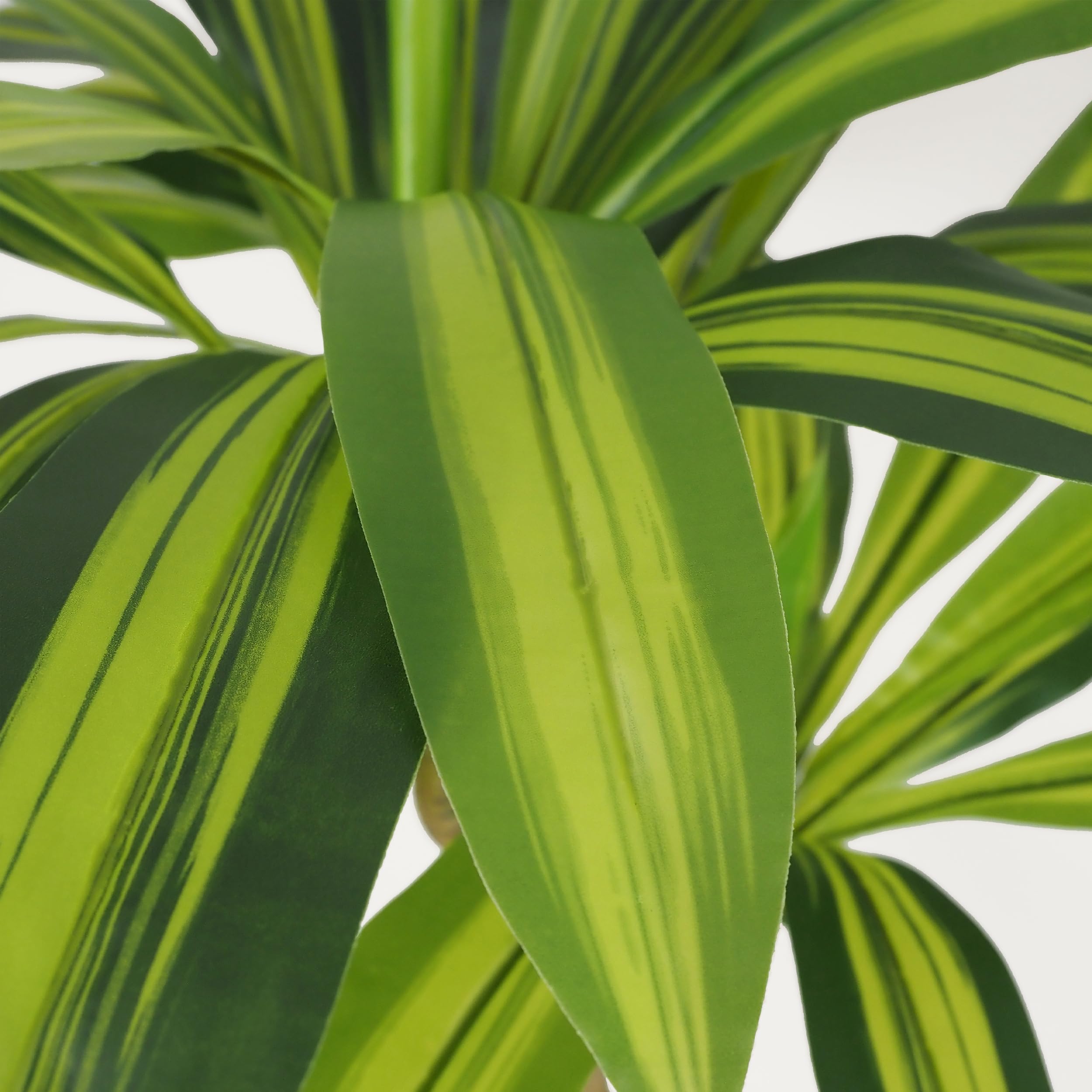 LIGNE DÉCO - Dracena Artificiel - Décoratif - Élégant - Tendance Déco - Durable - Entretien Facile - Plante Artificielle Intérieur - Plastique - 80cm