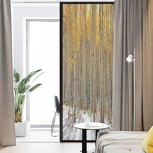 Miniatura 3 de Película para ventana con patrón de decoración de casa de campo, árboles de álamo con hojas doradas en bosque nevado a principios de invierno,
