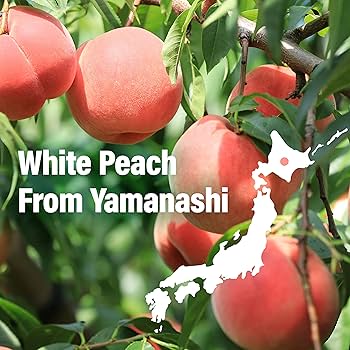 mochiページ 71EXs9qPlEL._UF350,350_QL50_.jpg