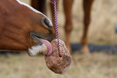 Vista 7 de REDMOND - Rock on a Rope Roca de sal sin refinar para caballos 3 a 5 lbs
