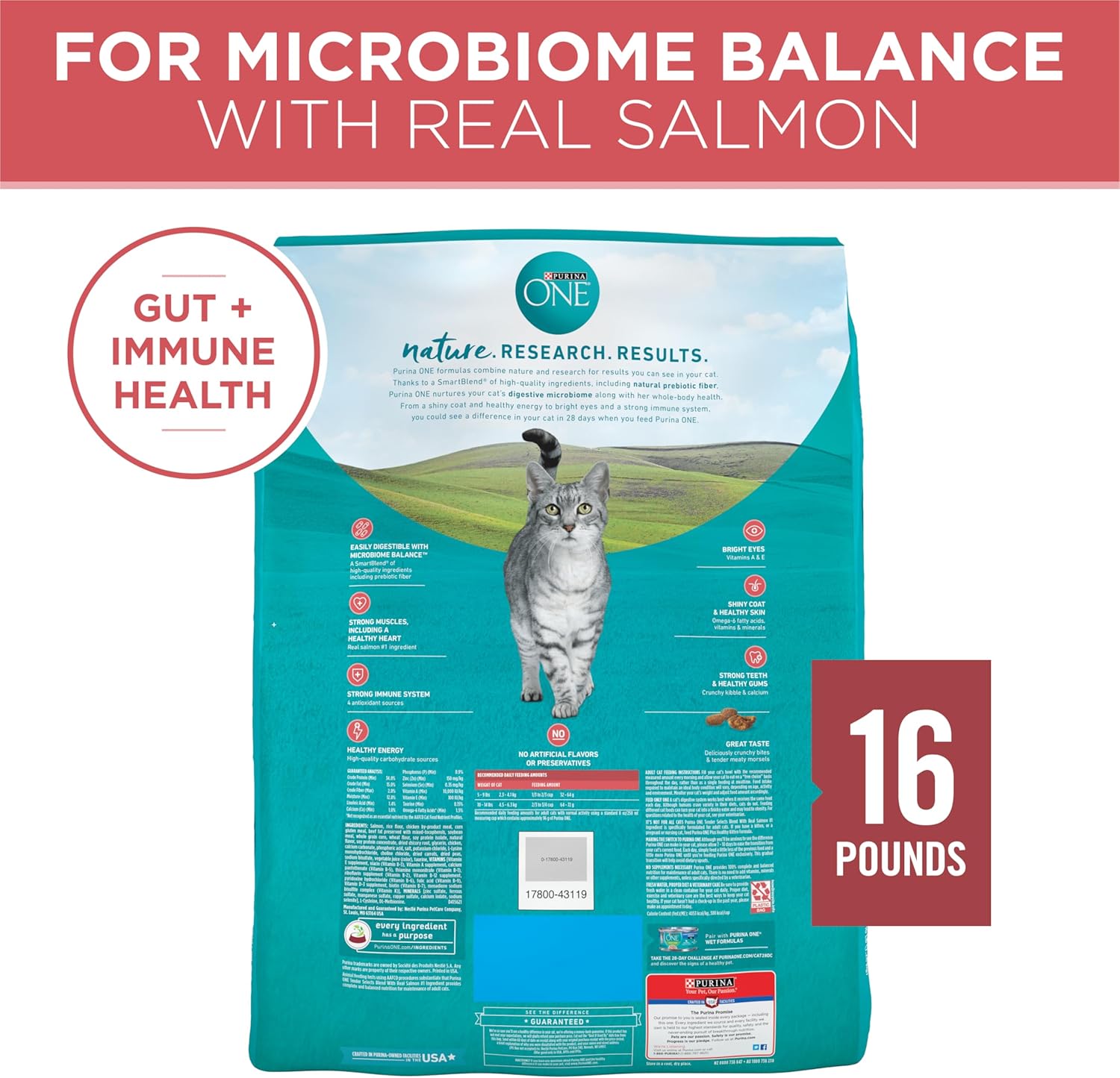 Purina ONE Natural Dry Cat Food, Tender Selects Blend With Real Salmon - 16 lb. Bag