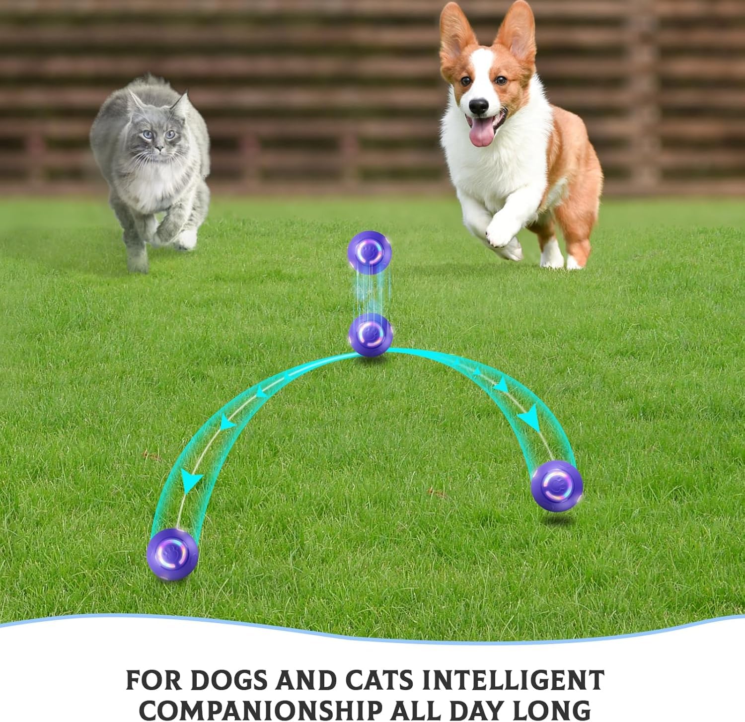 Interactive Dog Ball Toy - Auto Active Rolling Ball for Dogs with LED Lights | 2 Interactive Modes, Automatic Moving, Bouncing, and Rotating, E-TPU Material, USB Rechargeable — view 6