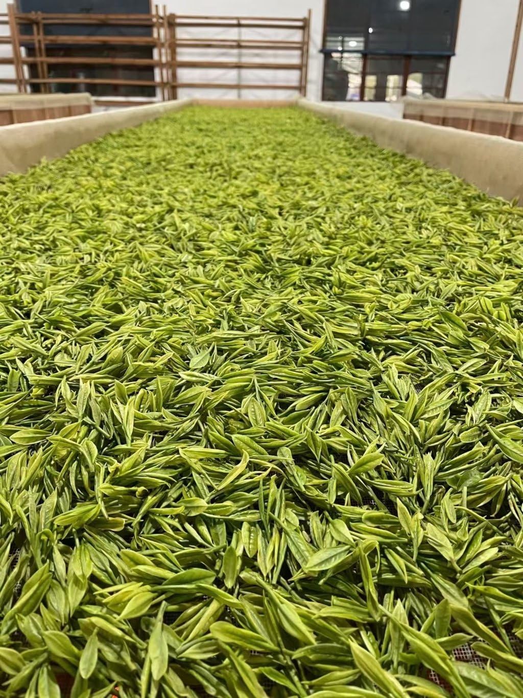 MeiMei Fine Teas Premium Early Spring Enshi Jade Dew Green Tea, Chinese Loose Leaf Tea Ecologically Grown High Mountain Selenium-Rich, High Antioxidants Energy Boost 75g/2.65oz