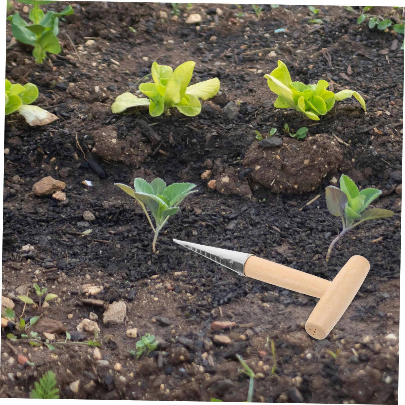 BESPORTBLE Elegant Garden Dibber Dibber Garden Tool Bright Texture for Fertilization