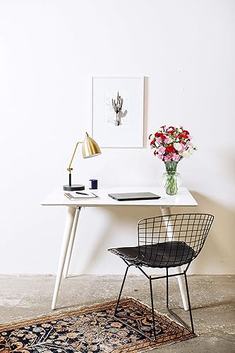 Miniatura 5 de 20 claveles en minuatura con tallo en color arcoiris