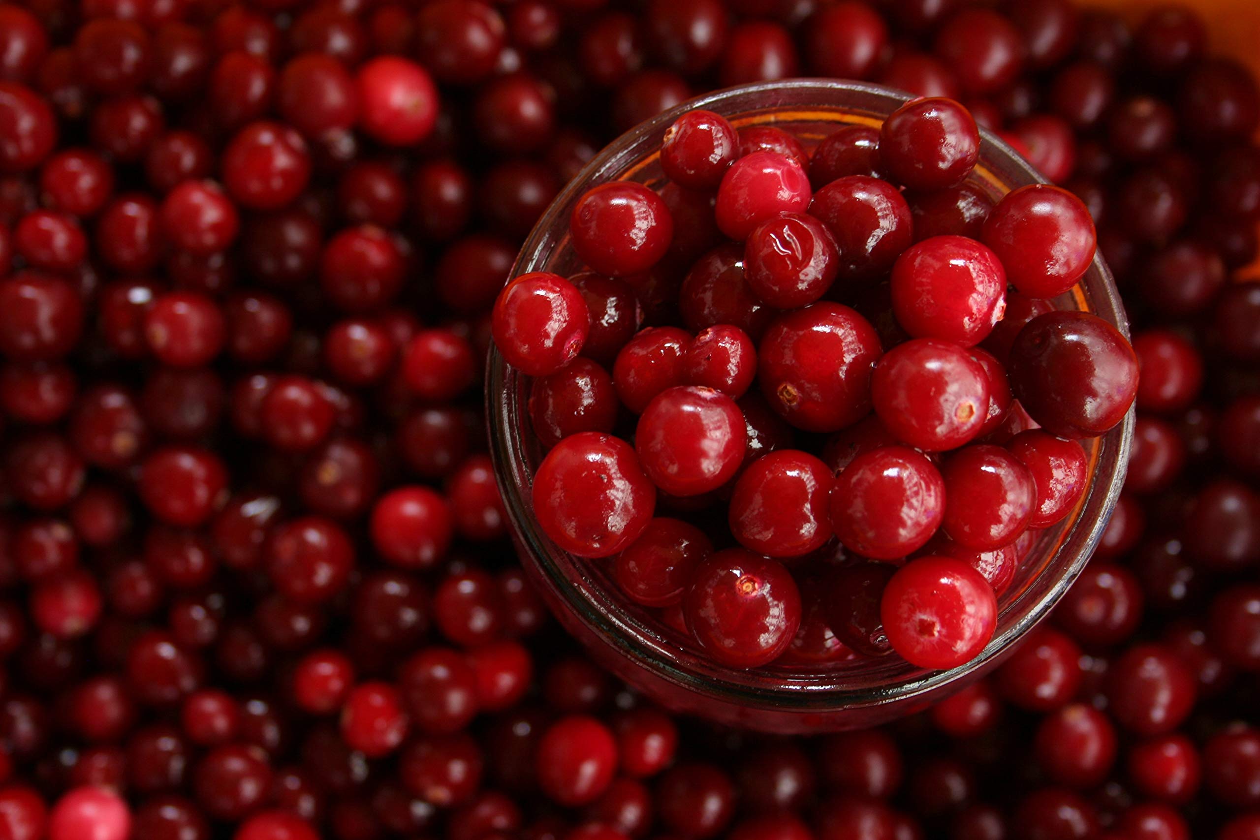 Ponthier CRANBERRY PÜREE Kranich-Moos-Beeren-Frucht-Püree Cranberrymark 1KG Smoothie-Bowl-Sorbet-Saft-Sauce-Cocktail-Topping ausgewählte Früchte höchster Qualität (4, 1kg)