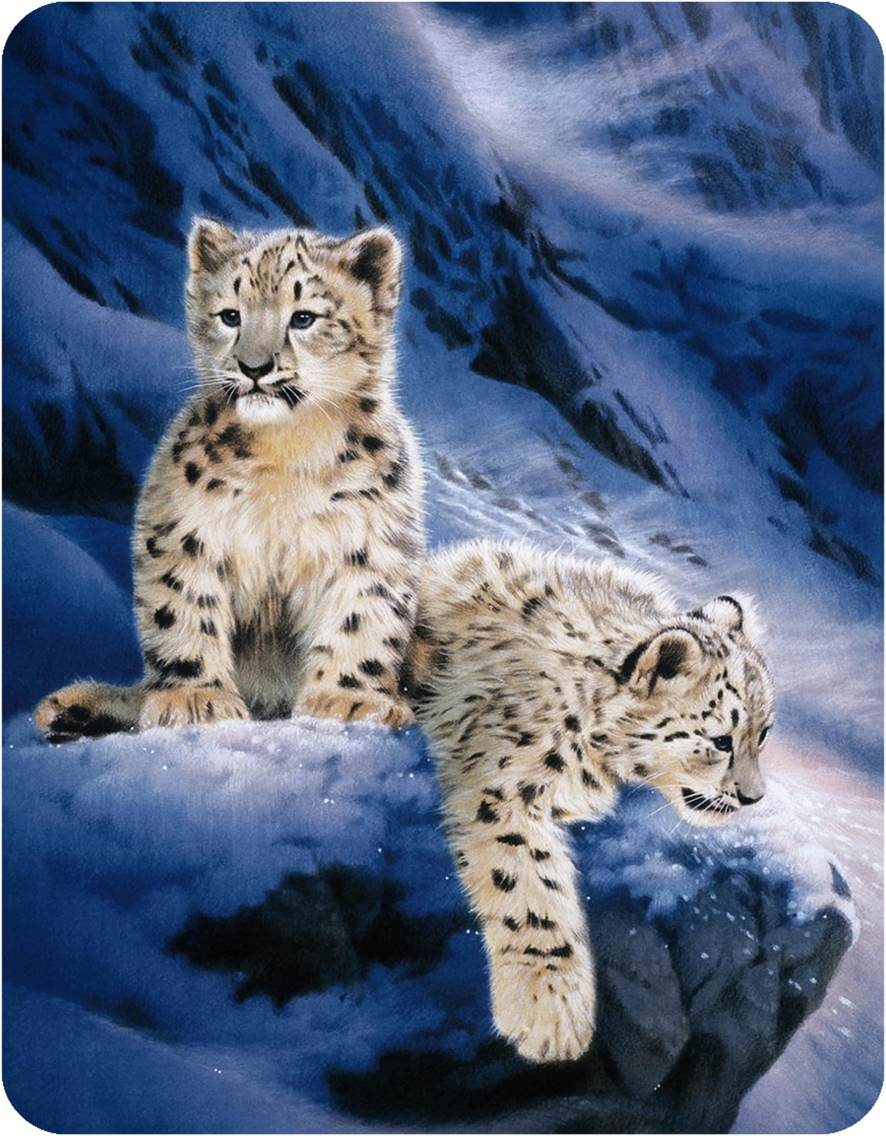 Magnet - Snow Leopard Cubs from Deluxebase. Lenticular 3D Big Cat Fridge Magnet. Magnetic Decor for Kids and Adults with Artwork Licensed from Renowned Artist, Joh Naito