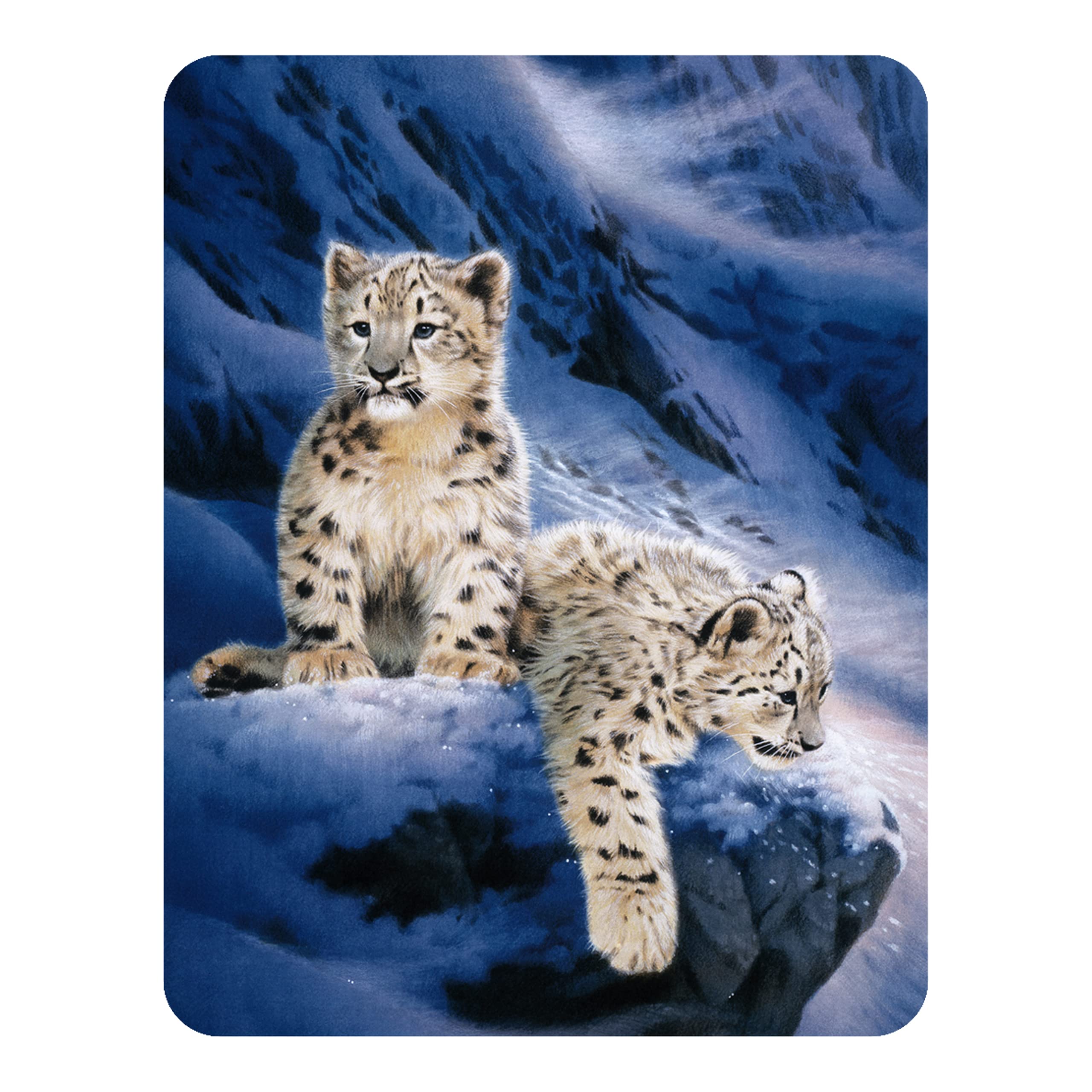Magnet - Snow Leopard Cubs from Deluxebase. Lenticular 3D Big Cat Fridge Magnet. Magnetic Decor for Kids and Adults with Artwork Licensed from Renowned Artist, Joh Naito