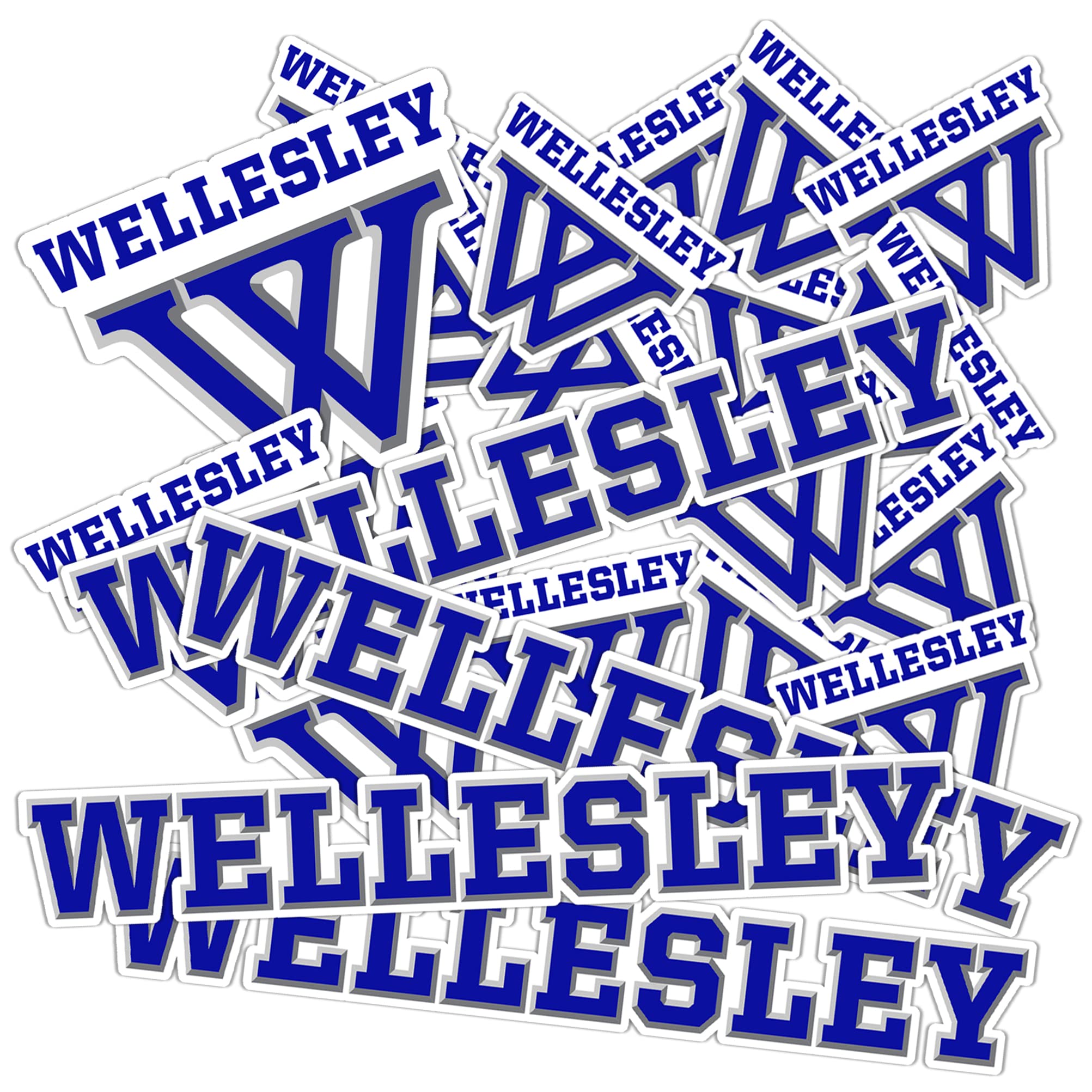 Desert Cactus Wellesley College Sticker Wellesley Blue Vinyl Decal Laptop Water Bottle Car Scrapbook Sheet (Type 1-1)