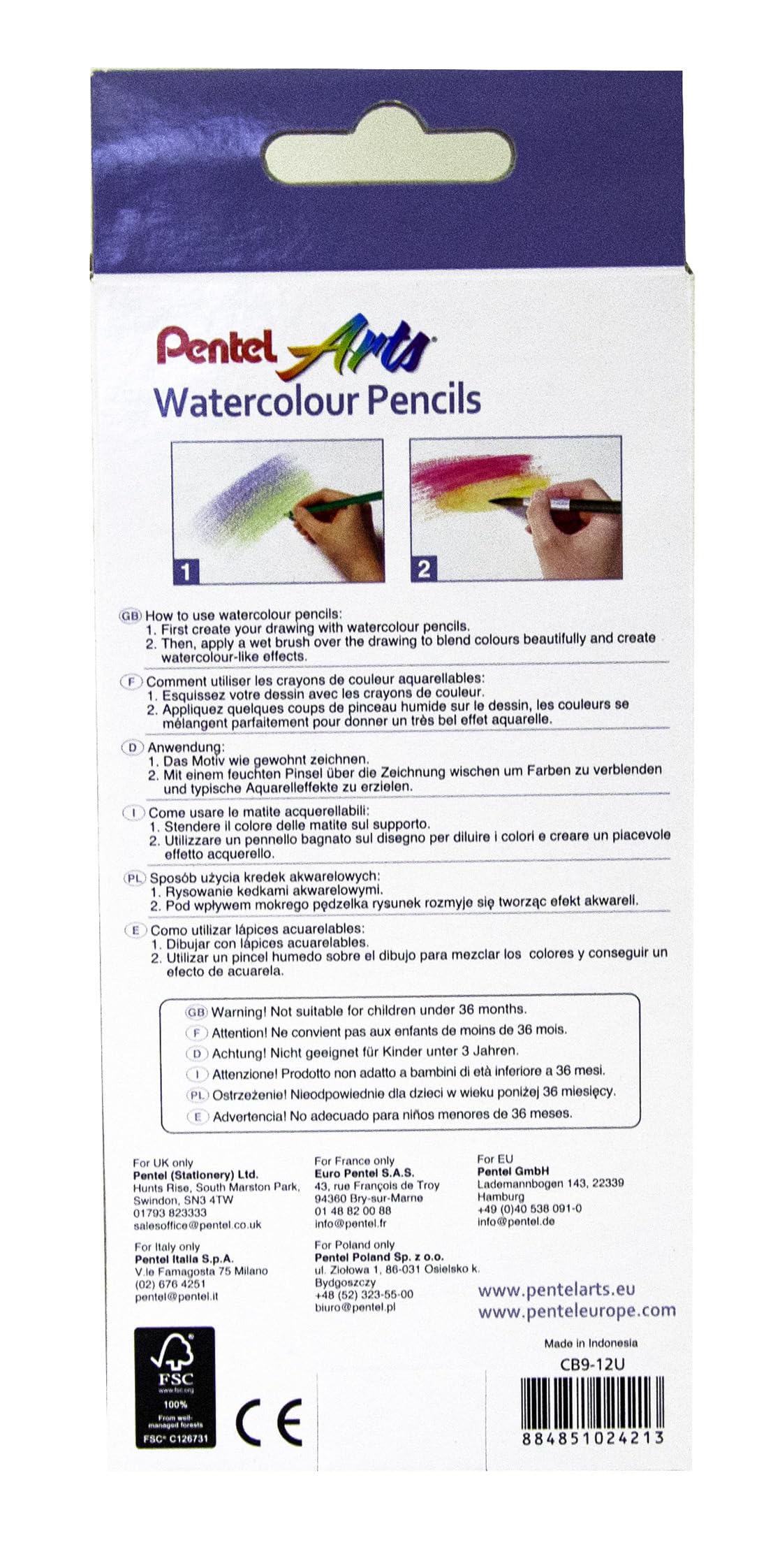 Pentel Arts zestaw ołówków akwarelowych – różne (12 sztuk) CB9-12U