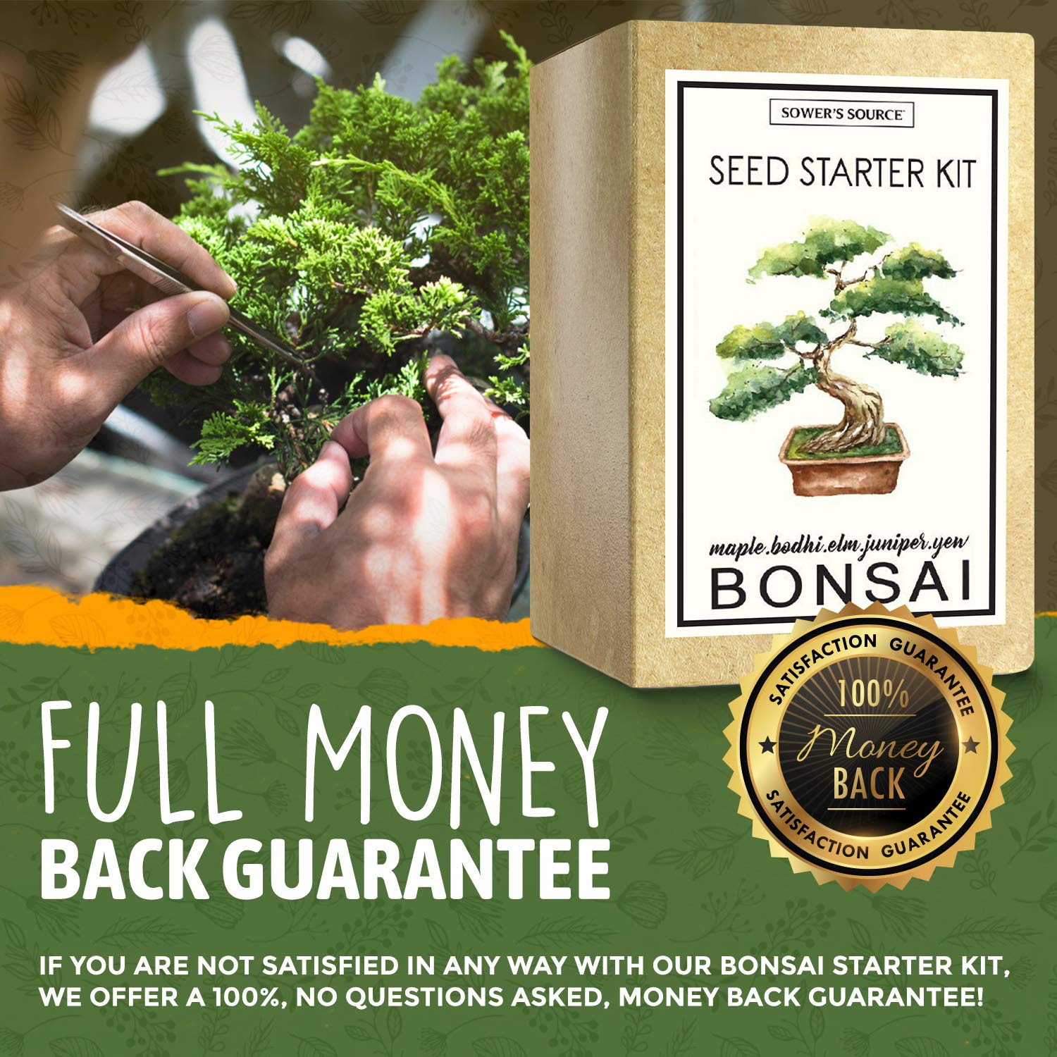 Bonsai Tree Kit Indoor and Outdoor Starter Seed Kit, Soil Mix