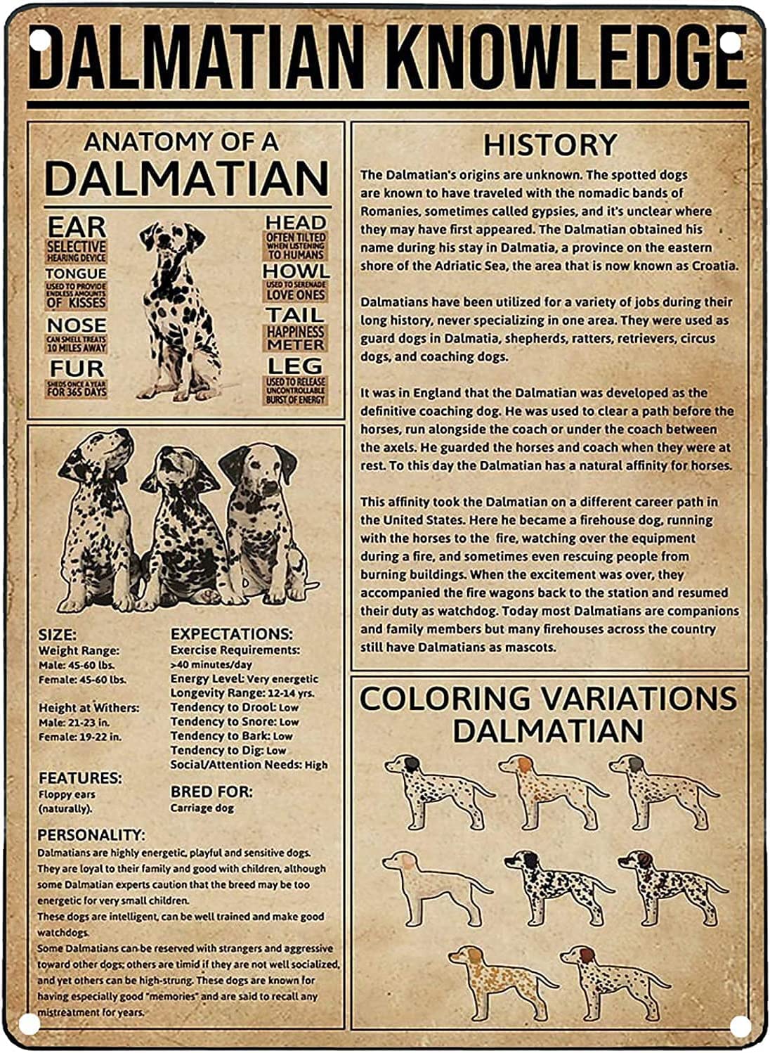 Vintage Metal Tin Sign 16"x12" for Dalmatian Knowledge Gifts Aluminum Tin Sign Yard Signs Birthday Christmas Decor Home Art Wall Sign
