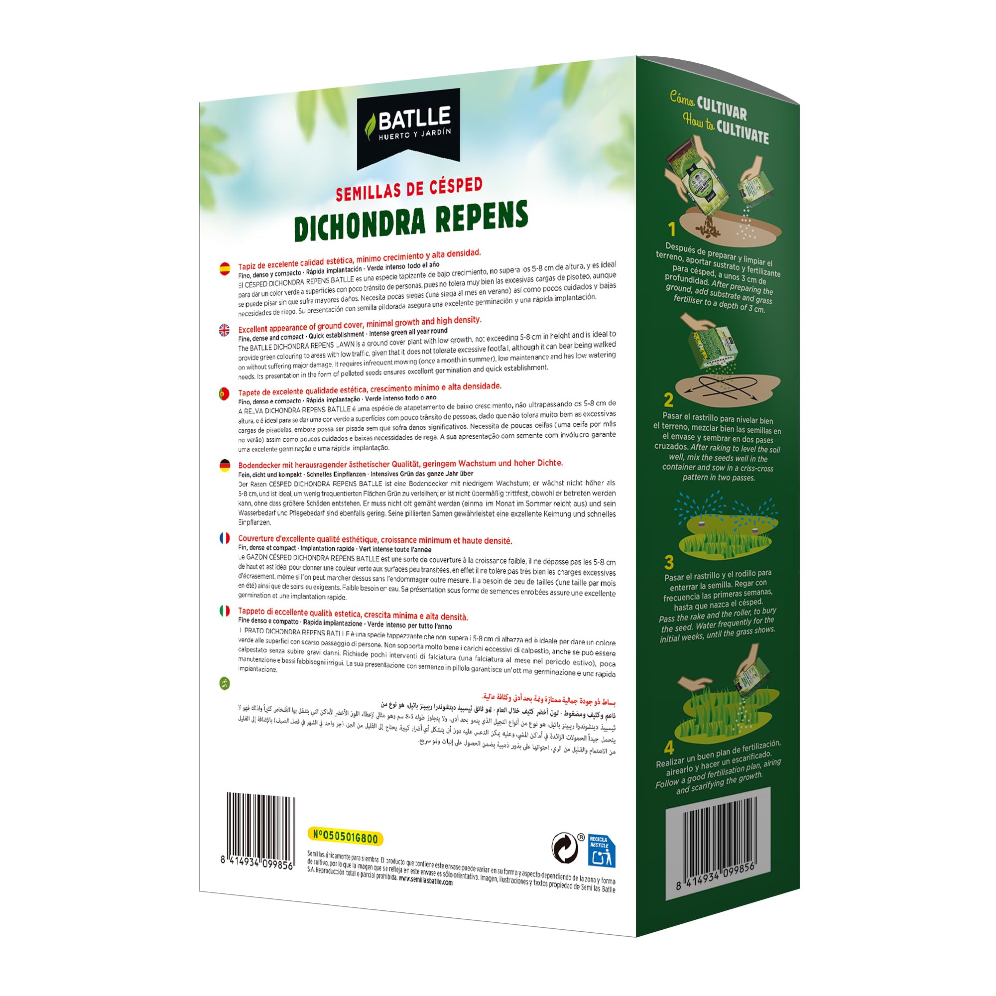 Outsidepride Semillas perennes de Dichondra Repens – 5 libras de color verde denso, semillas de cobertura del suelo de bajo mantenimiento para plantar, alternativa ideal para césped en áreas soleadas