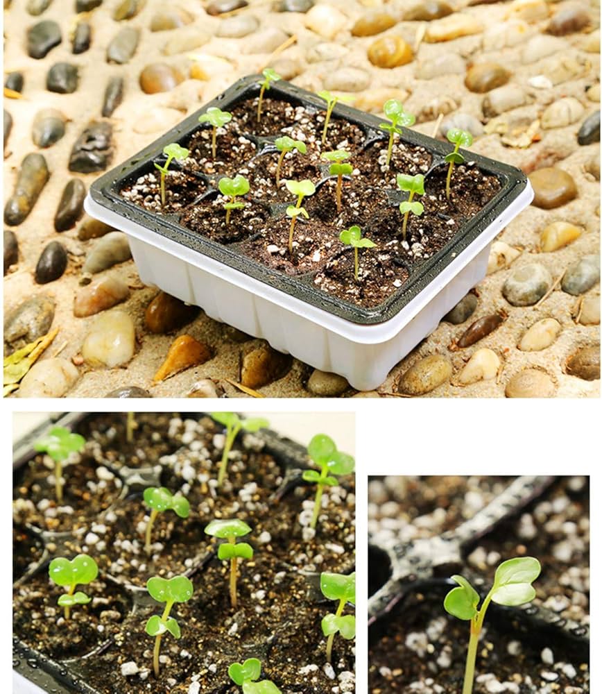 Amazon | 【進級・人気】ZsunNa 4個セット 育苗ポット 育苗箱 6穴 種子