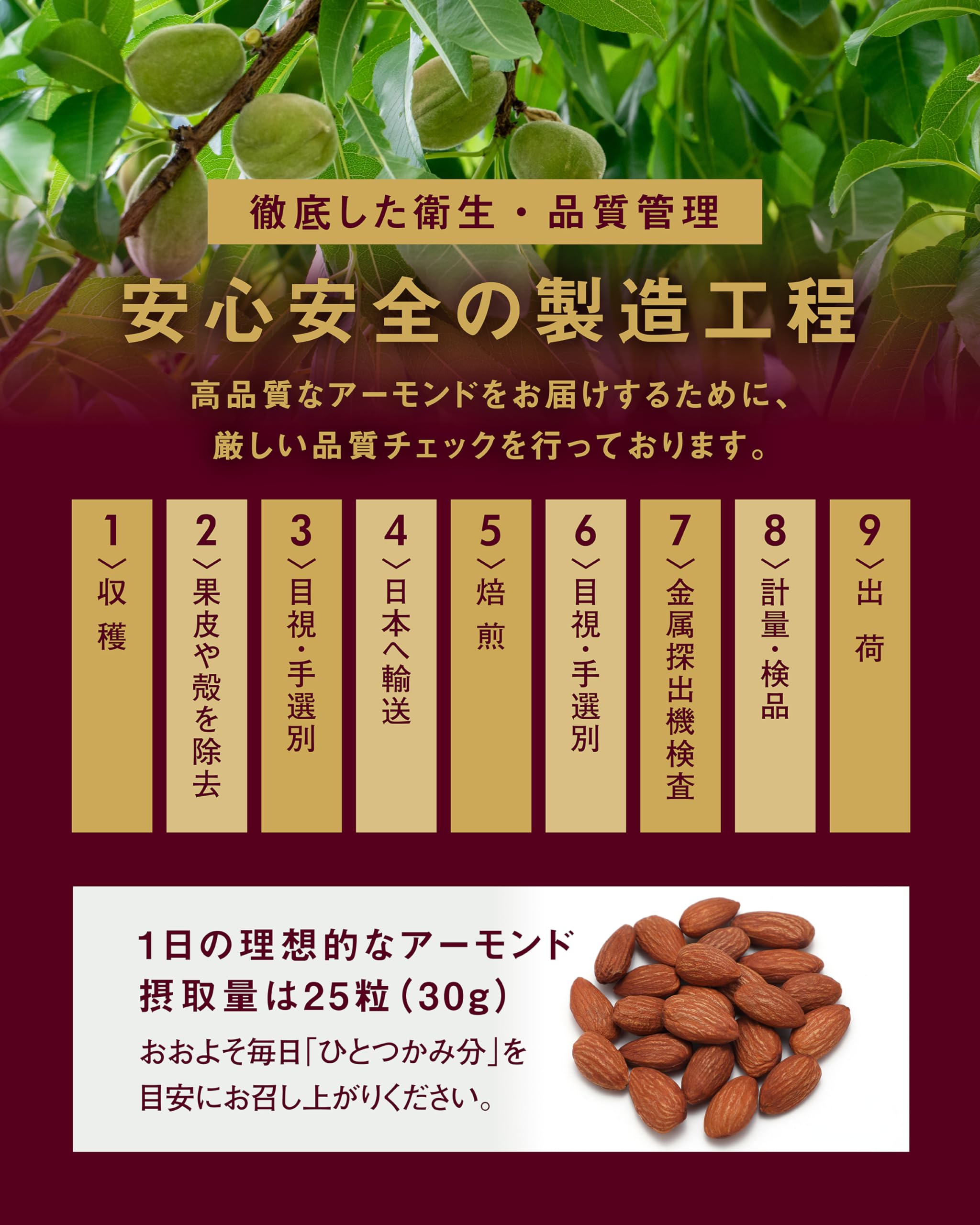 Amazon.co.jp: 【最上級ビュート種】72 NANAJUNI アーモンド 素焼き 無