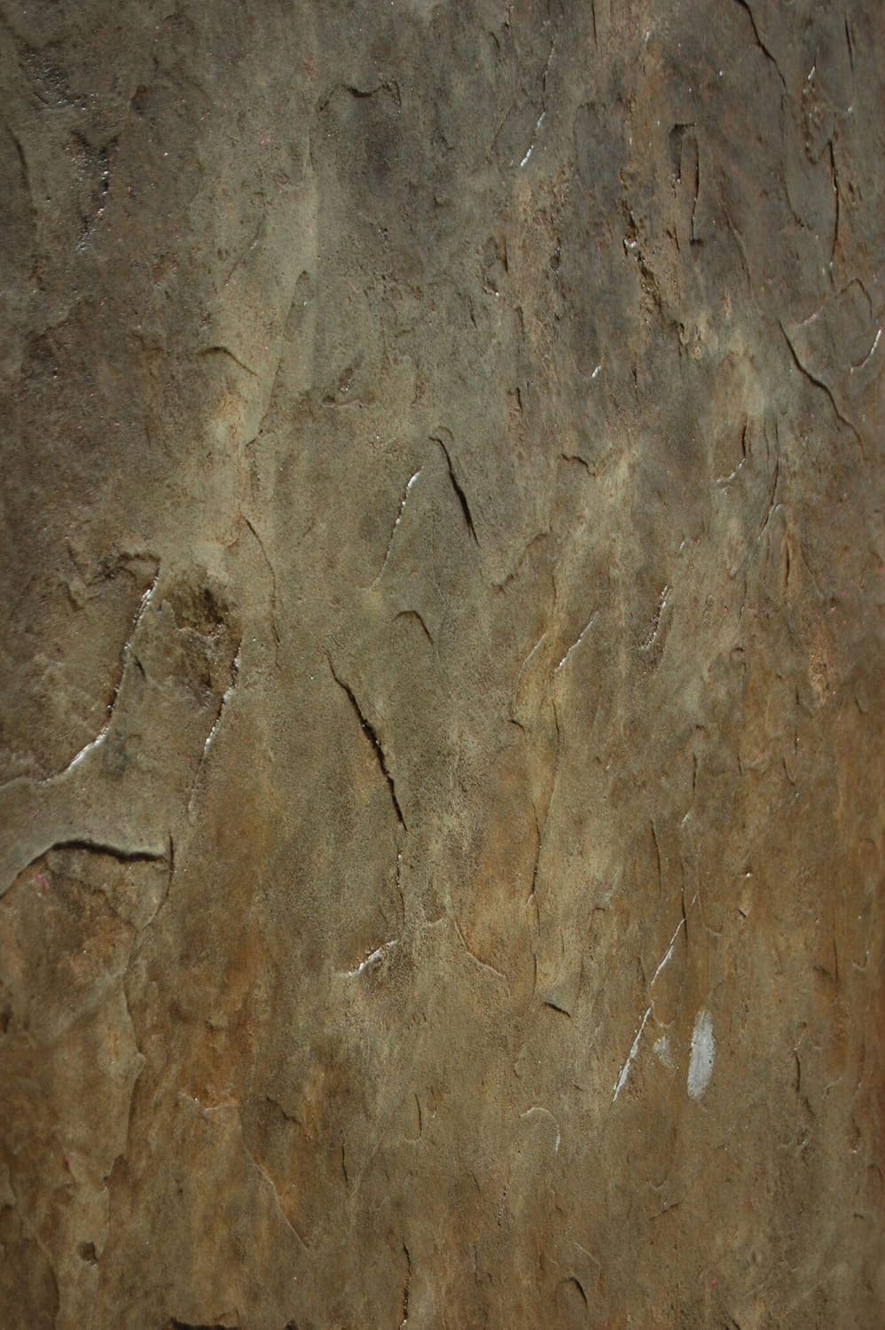3 x 3 ft Seamless Concrete Stamp Texturing Skin Single - Concrete, Cement, Overlay (Colorado Sandstone)