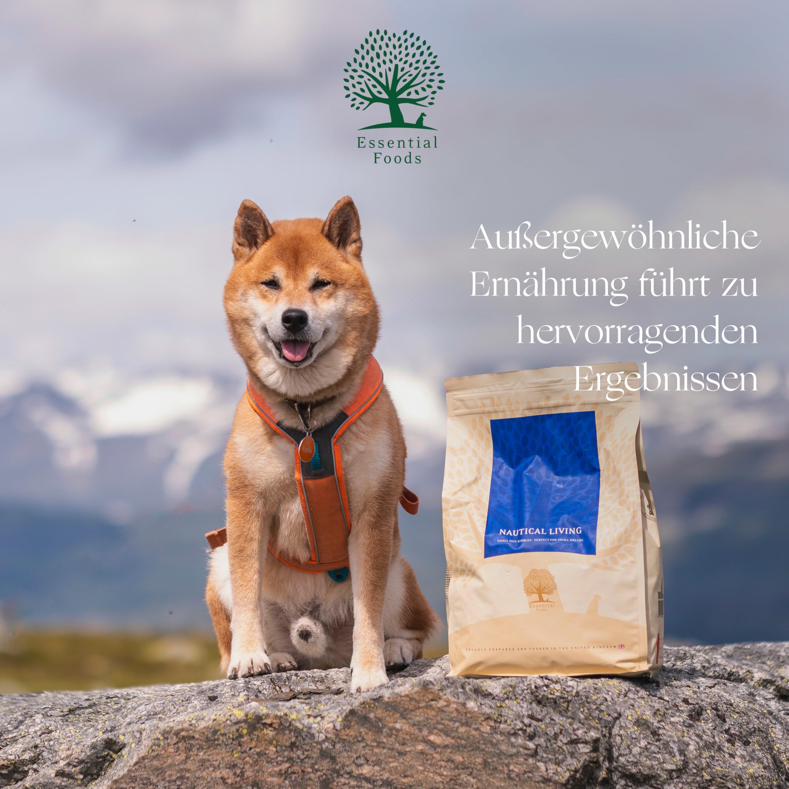 Essential Nautical Living 3X 2,5 kg | Lachs, Forelle & Kabeljau | Getreidefrei Hundefutter für kleine Hunde | hoher Fischanteil mit natürlichem Gehalt an Omega-3-Fettsäuren | nach dem BOF-Prinzip