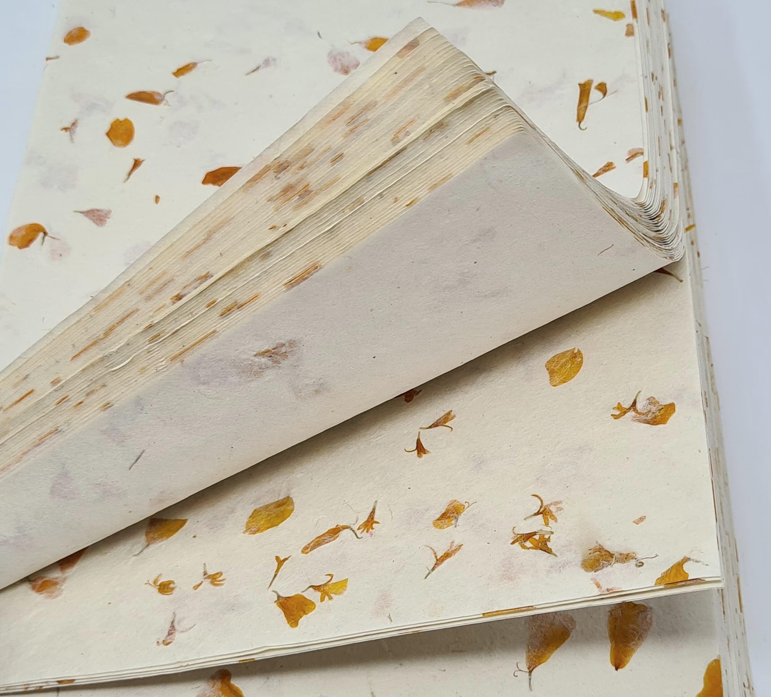 A4 Lokta Printer Paper, Merigold Petals on Natural Nepalese Handmade Lokta Paper (20)