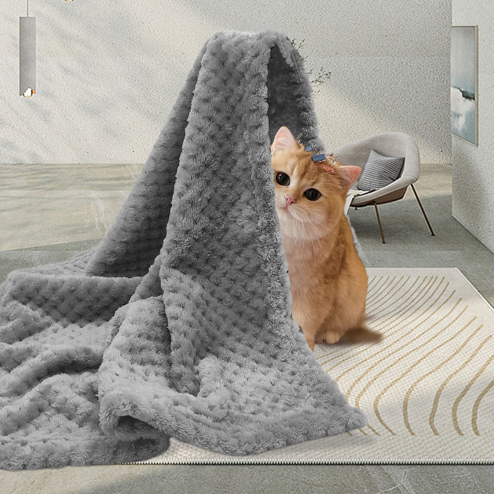 TSHAOUN Couverture douce pour chien et chat - Couverture lavable en polaire moelleuse pour petit chien, chat et chiot - 70 x 50 cm (gris)