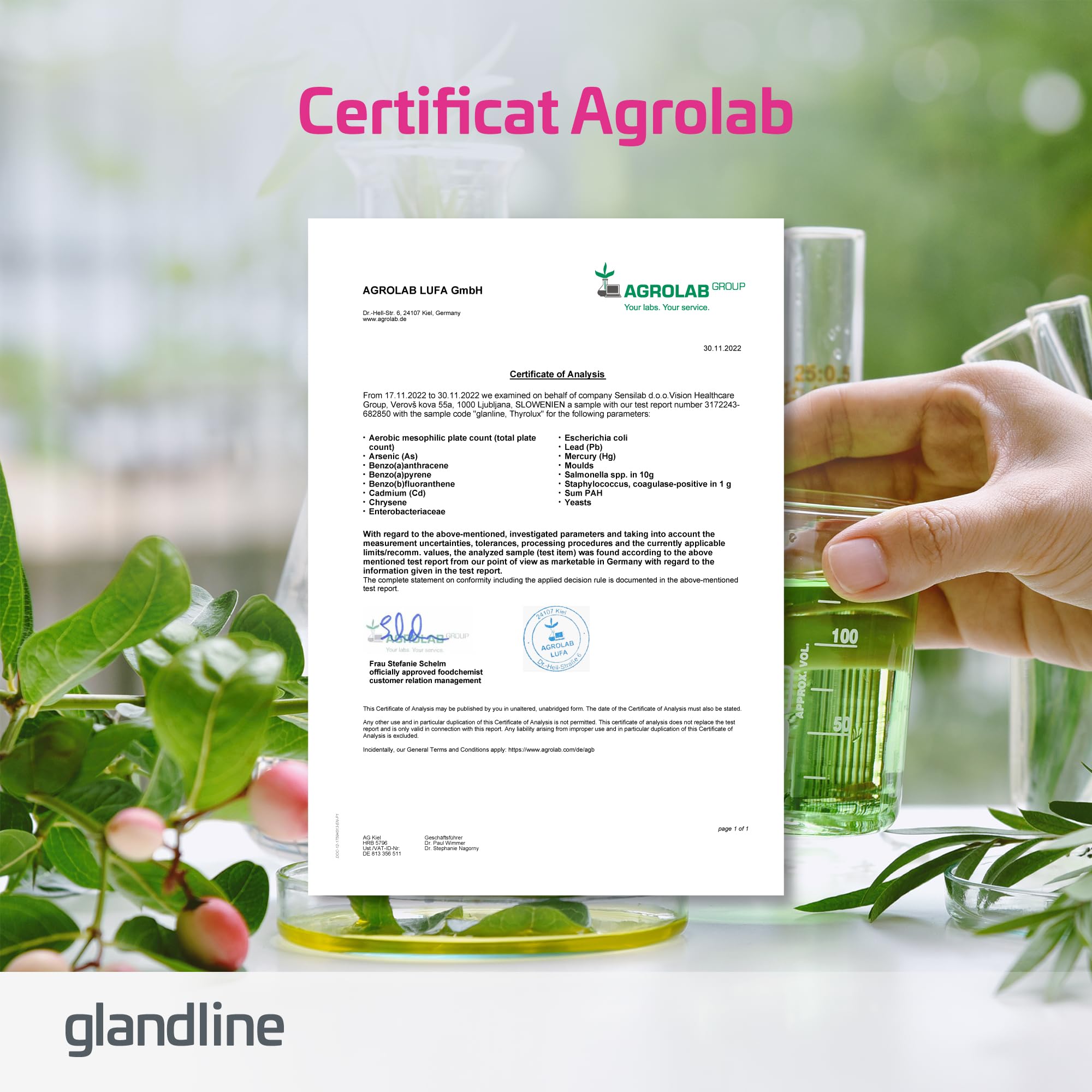 Sensilab Thyrolux - Thyroïde, L-Tyrosine et Iode, 240 Gélules | Sélénium, Magnésium, Basilic Sacré, Schisandra, Zinc, l'Iode contribue à une Fonction Thyroïdienne Normale