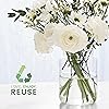 Product Photo 8