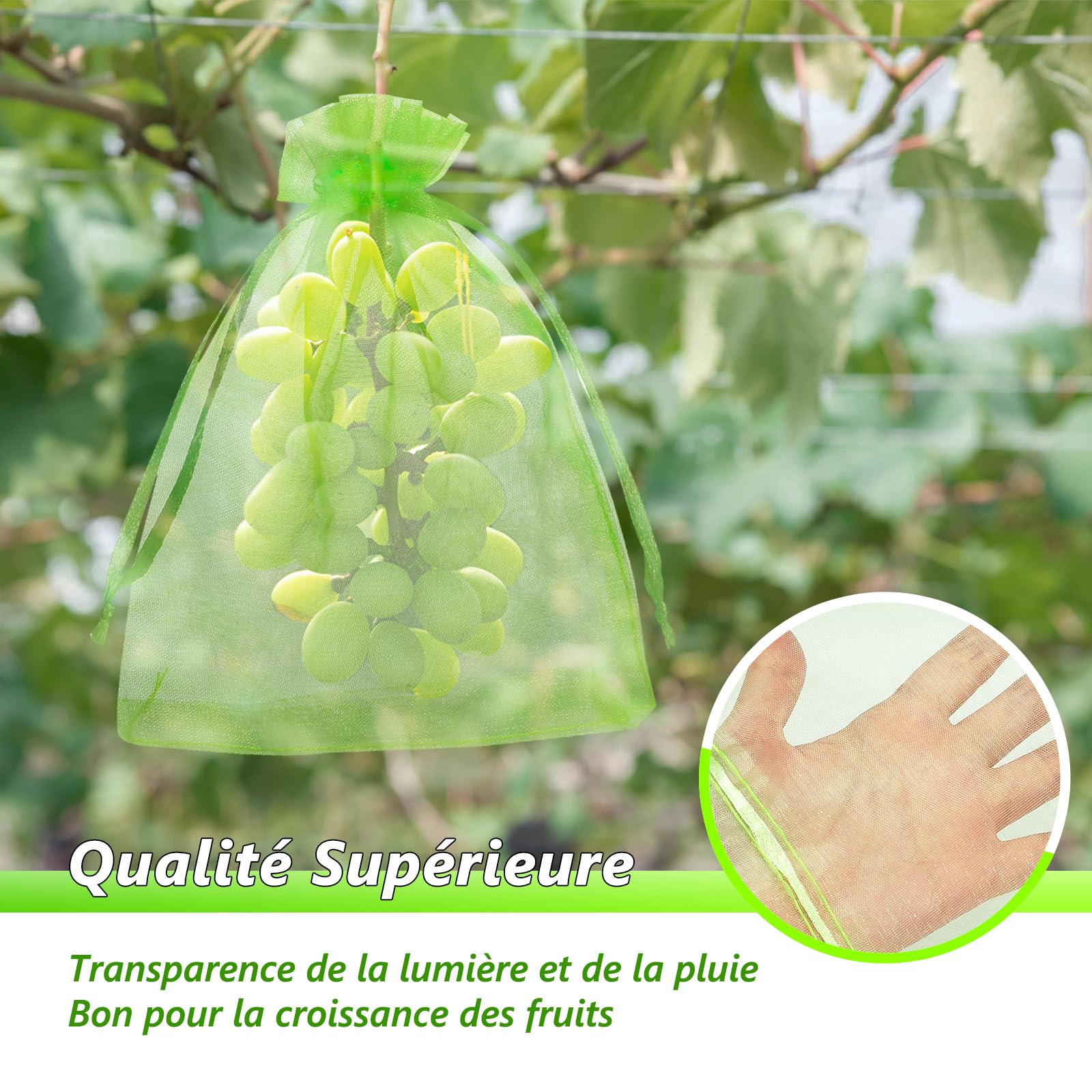 Sac de Raisin Net 15x20cm Filet Anti-Insectes Réutilisable 50pcs Protection Fruits Légumes Jardin