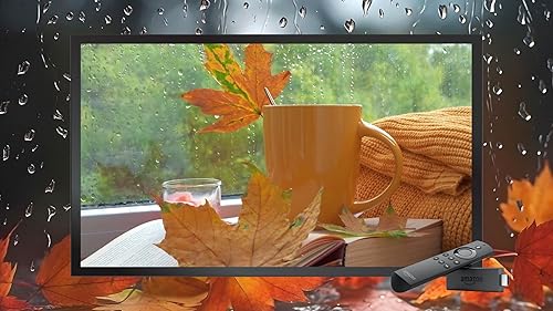 Meditação da chuva de outono - sons relaxantes e vídeo para Sono Profundo-experiência Premium para T