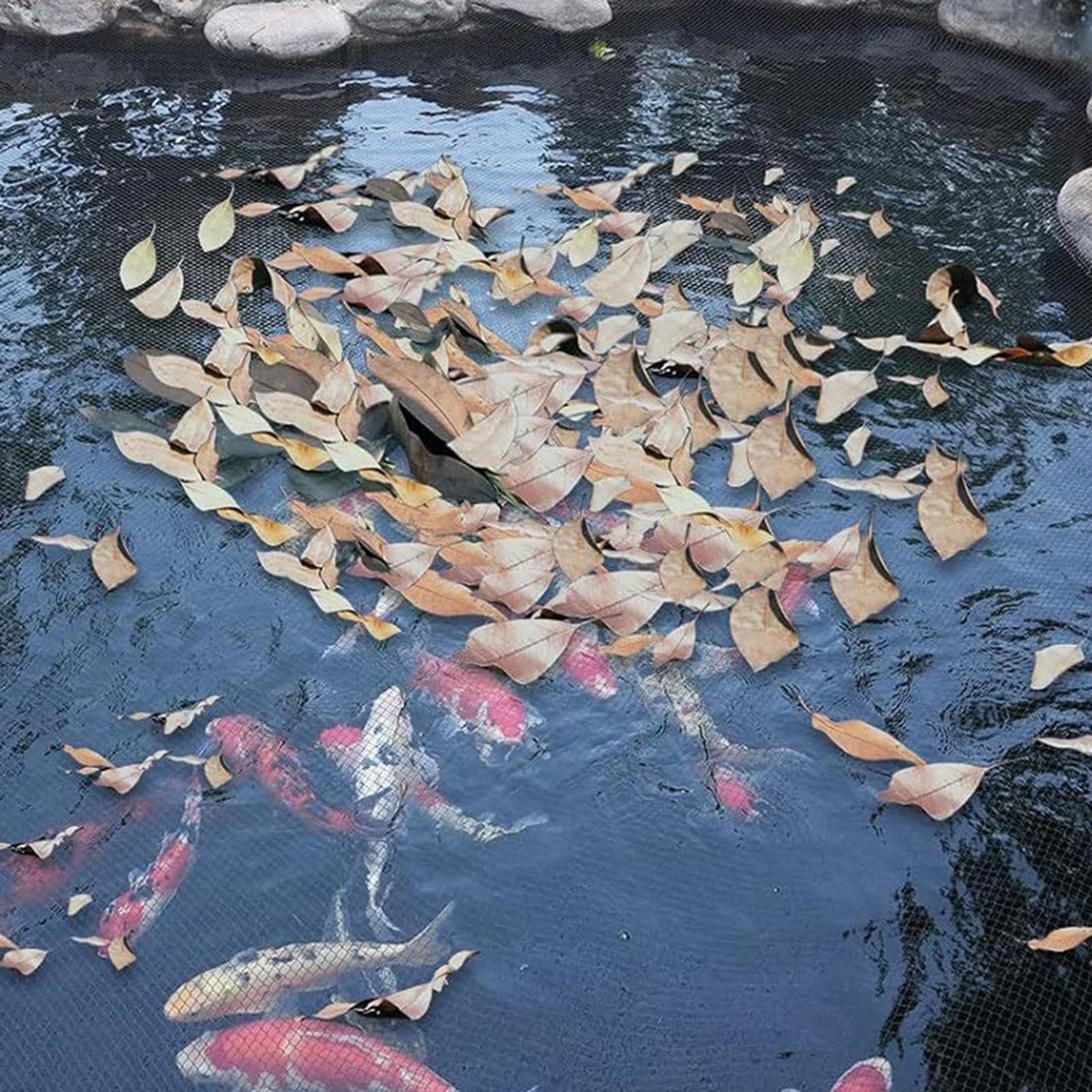 Red para pájaros de jardín, 4 x 10 m, malla antipájaros, para gallineros, árboles frutales, protección de estanques y espacios al aire libre, resistente a los rayos UV, fácil de instalar