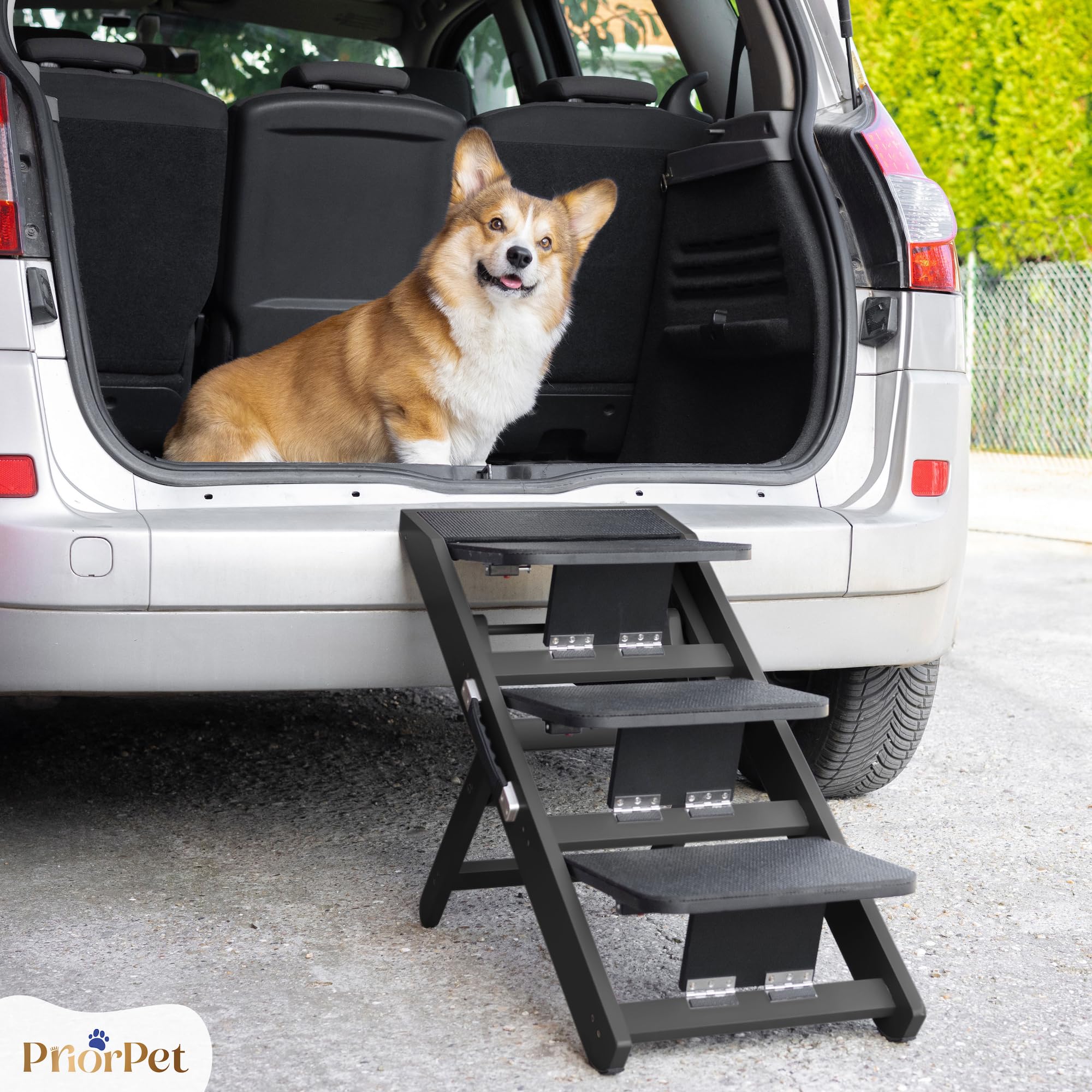 Scale per Cane 2 in 1 con Rampa Altezza Regolabile 18-50 cm Pet Gradini Piccoli Facile da Spostare Nero