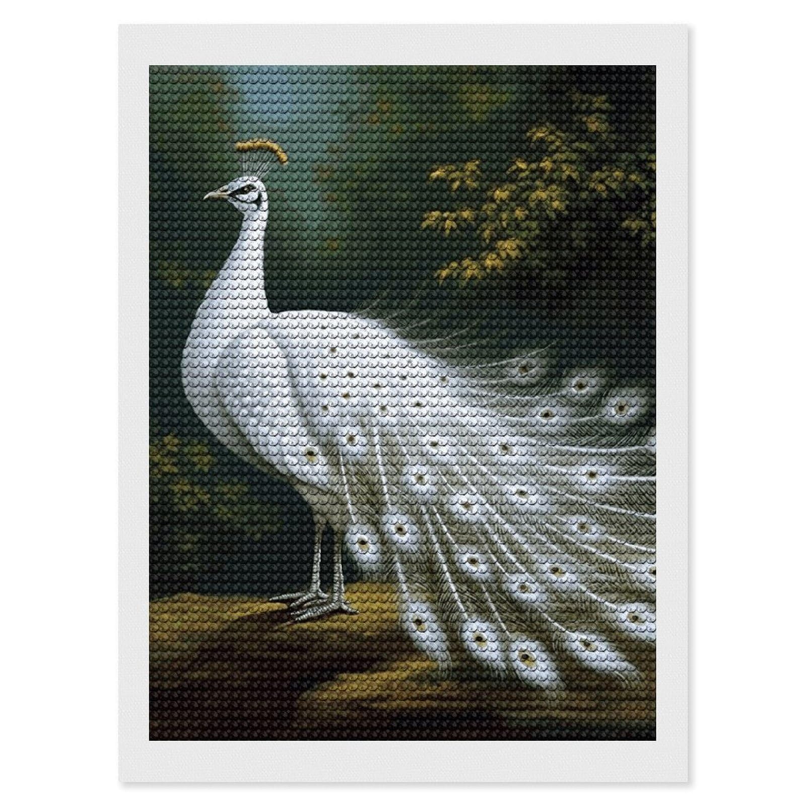 NONHAI Diamond Painting Kits for Adults - DIY Diamond Art Kits for Beginners - Full 5D Paint Drill Diamond Dots Paintings- White Peacock Diamonds Pictures Gem Art and Craft Wall Decor 12"x16"