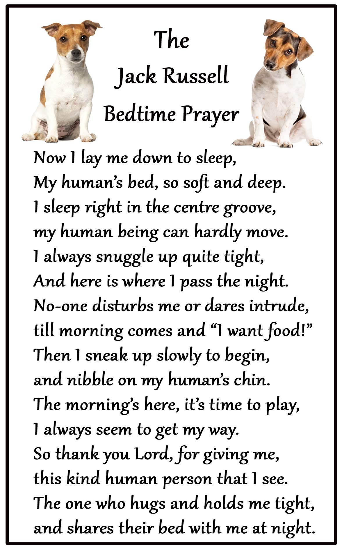 Fridge Magnets White Jack Russell Terrier Dog Gift - Bedtime Prayer - Large Fun Flexible Fridge Magnet- Size 16Cms X 10 Cms (Approx. 6" X4")