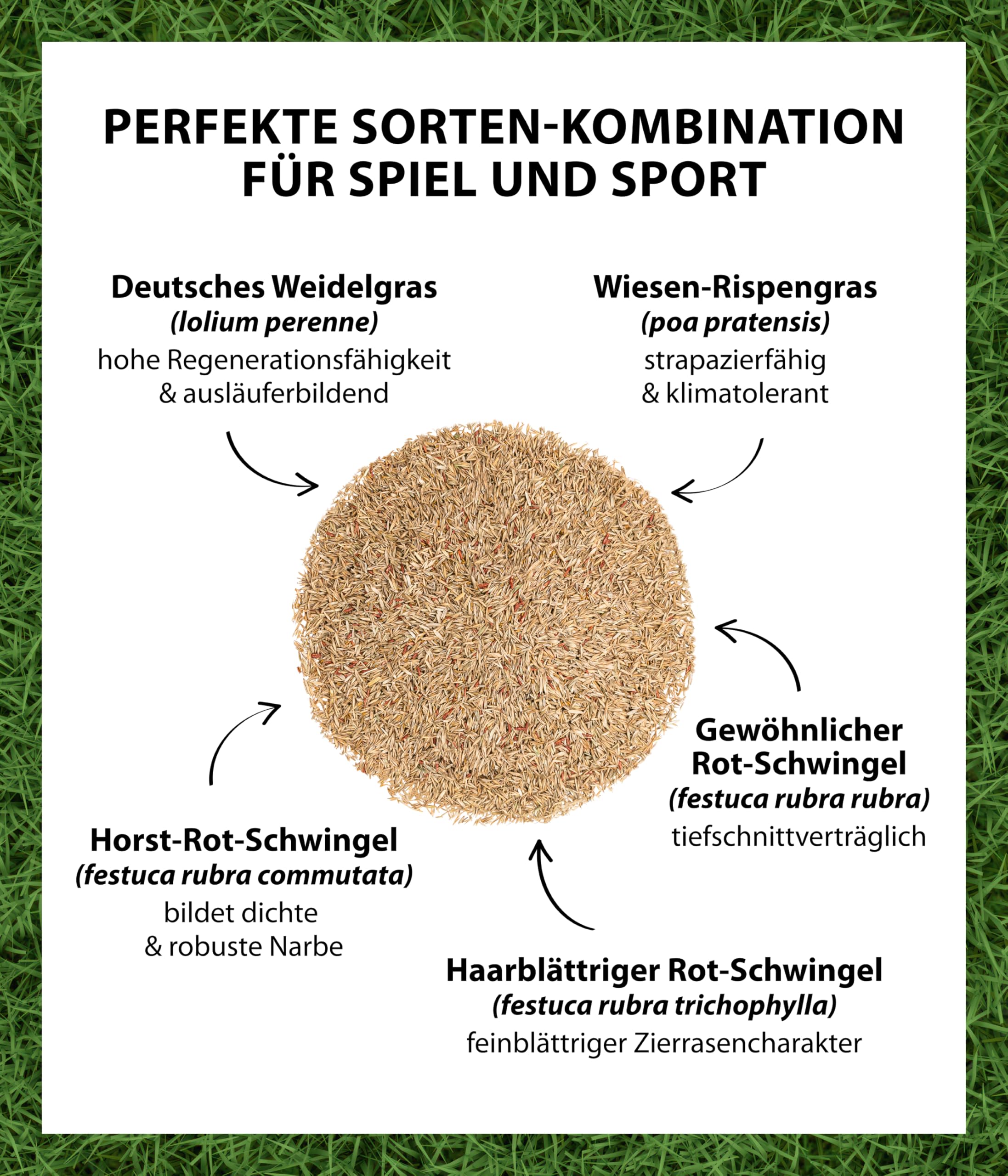 Dehner 5802442 materiał siewny trawnika, naturalny