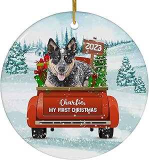 Winter Welcome Blue Heeler Australian Cattle Dog My First Christmas Ornaments 2025 Personalized Name Circle White Ceramic Puppy Owner Gifts