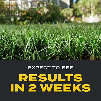 Scotts Turf Builder Triple Action1 - مكافحة الأعشاب الضارة، وقاتل الأعشاب الضارة في الحديقة، ومنع عشبة السلطعون، وسماد العشب للمروج، يغطي مساحة 4000 قدم مربع، 11.31 رطل.
