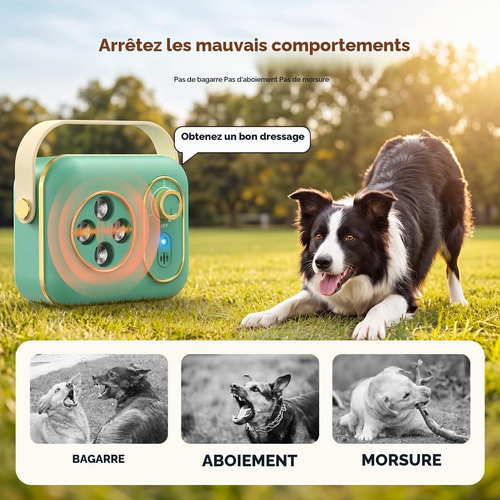 Appareil anti-aboiement pour chien, 5 modes, portable, à ultrasons, avec double fréquence, anti-aboiement efficace à longue portée pour le dressage en intérieur et en extérieur