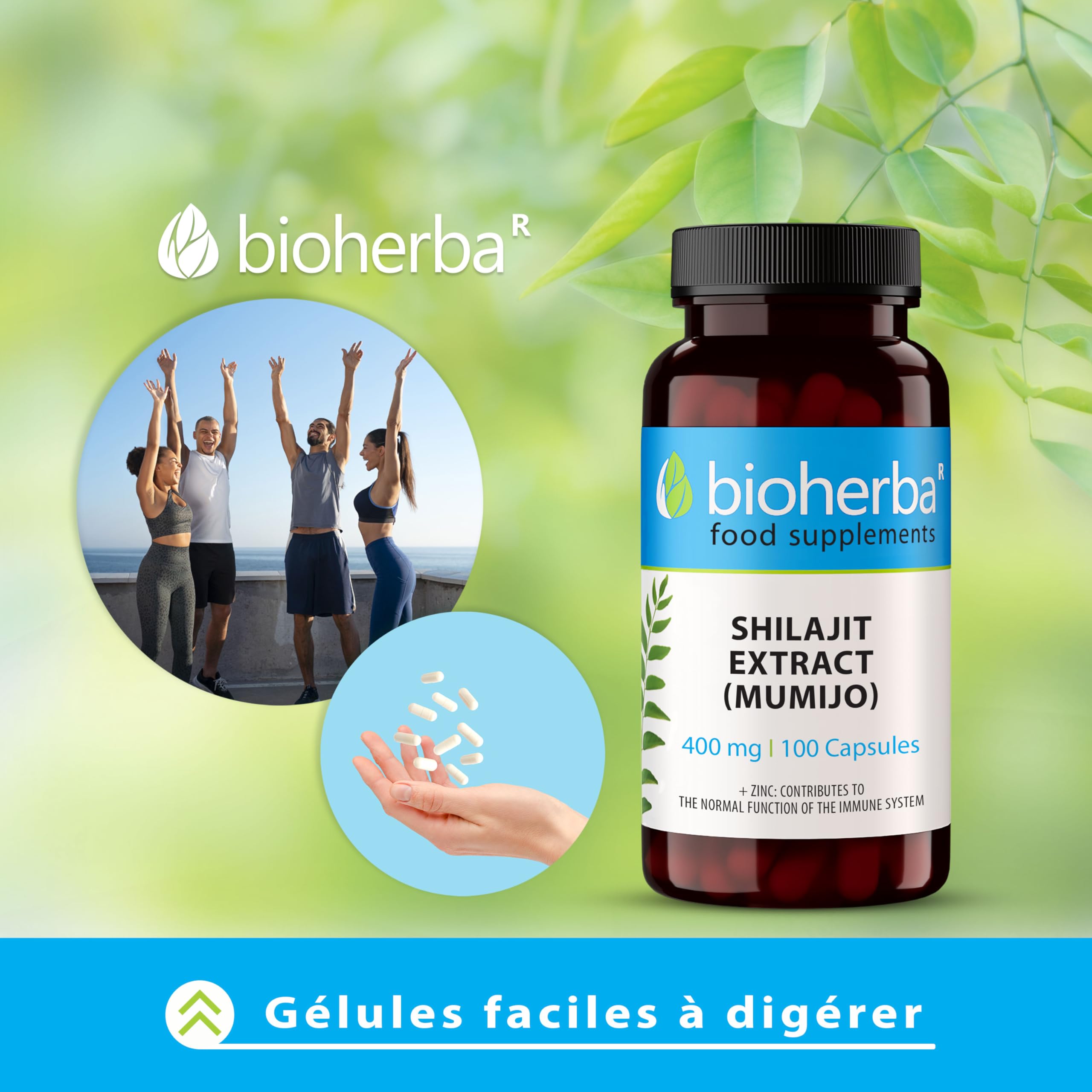 Shilajit – 100 Gélules de 400 mg | Extrait pur de Mumijo de l’Himalaya – par BIOHERBA