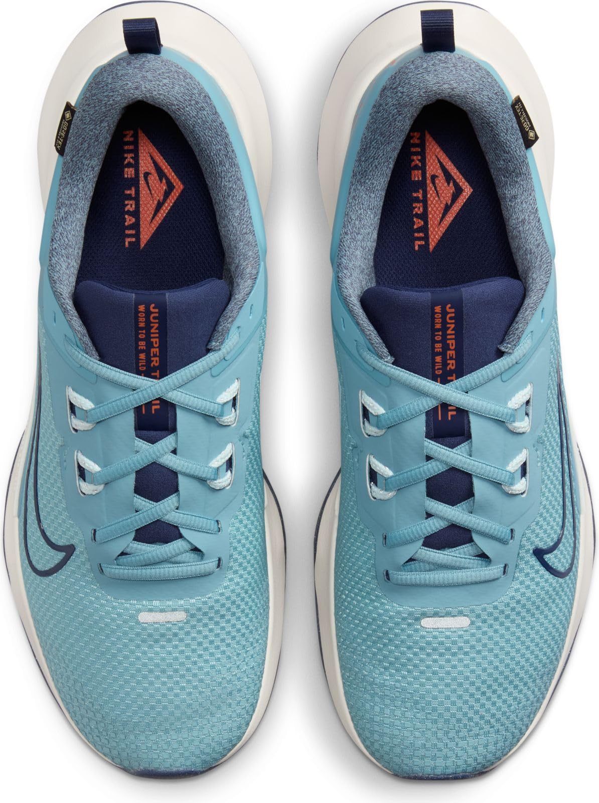 Nike Juniper Trail 2 GTX V2 Running ShoeHombre